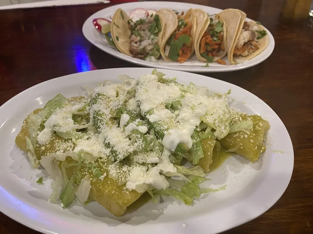 Chicken Enchiladas in Green Sauce and Mix Tacos